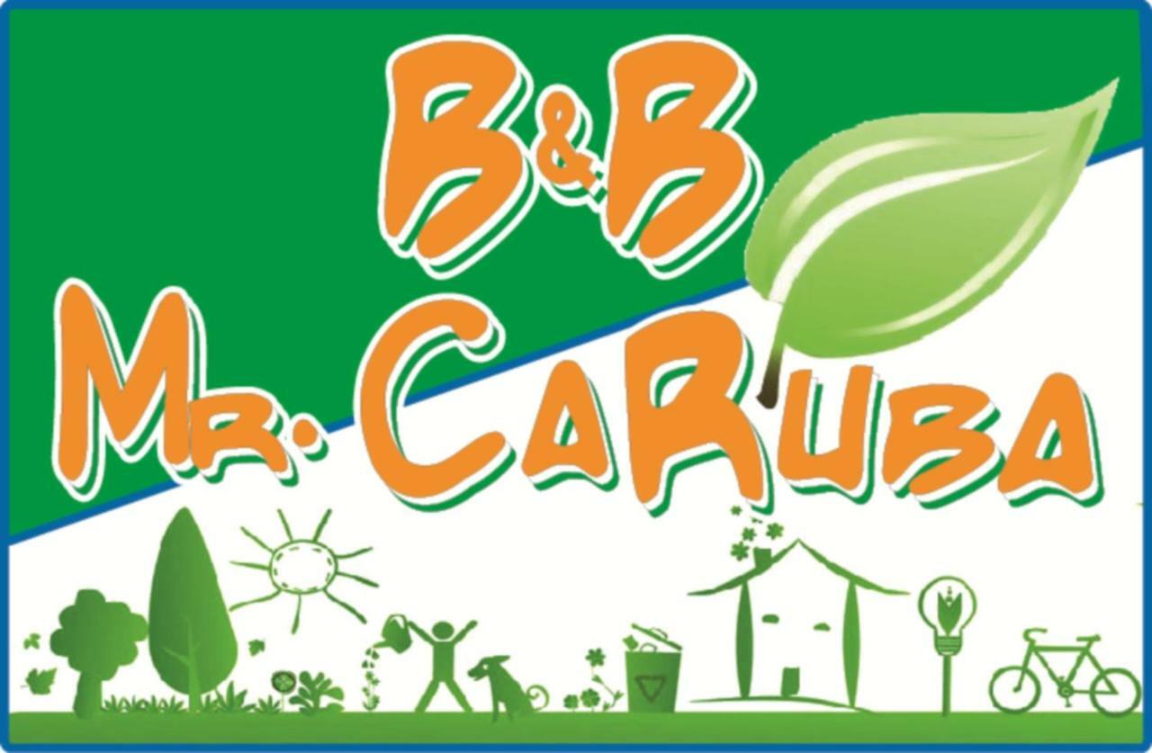 Mrcaruba 住宿加早餐酒店 *